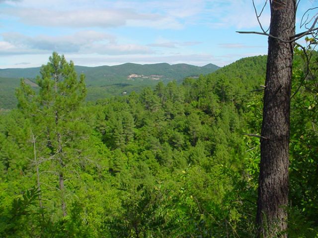 DSC01217.jpg