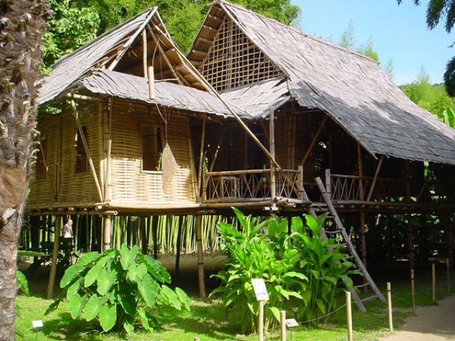 DSC01229.jpg