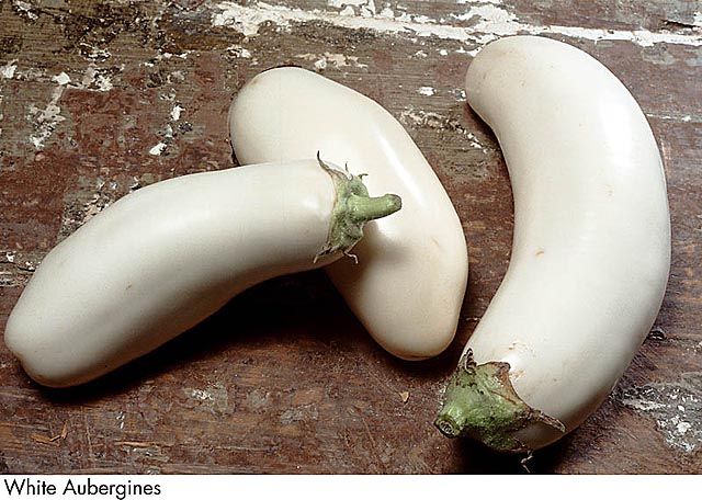 F&V024.jpg