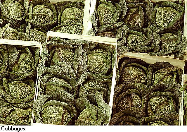 F&V030.jpg