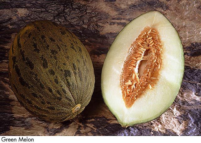 F&V032.jpg