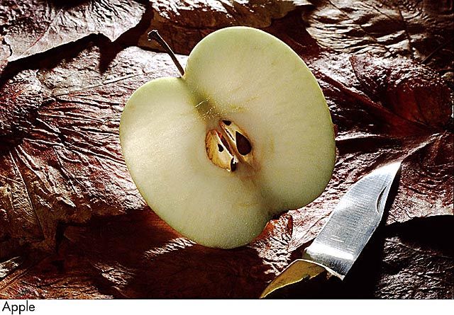 F&V035.jpg