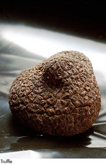 F&V117.jpg