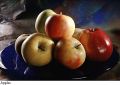F&V020.jpg