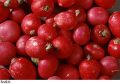 F&V100.jpg