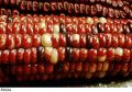 F&V107.jpg