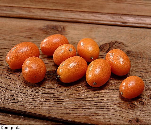 F&V160.jpg