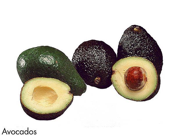F&V174.jpg
