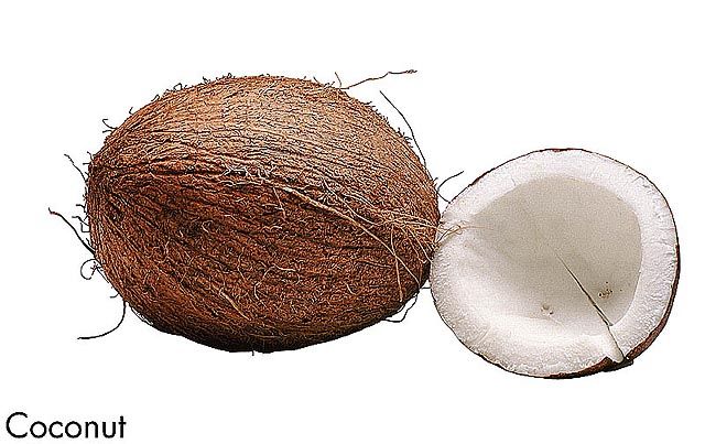 F&V175.jpg