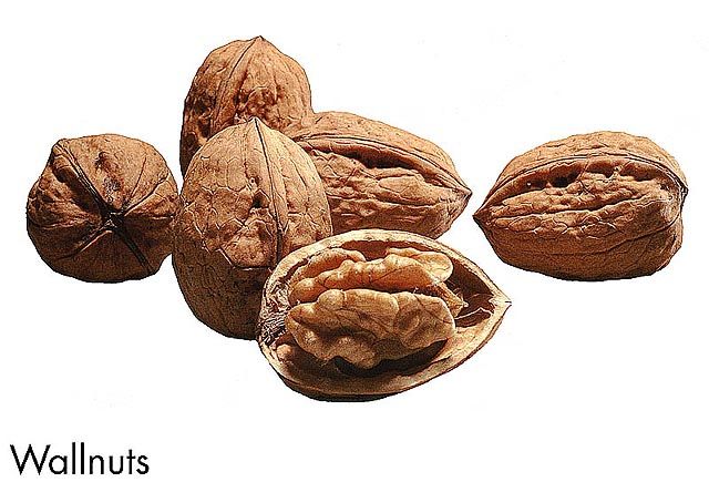F&V176.jpg