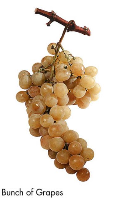 F&V182.jpg