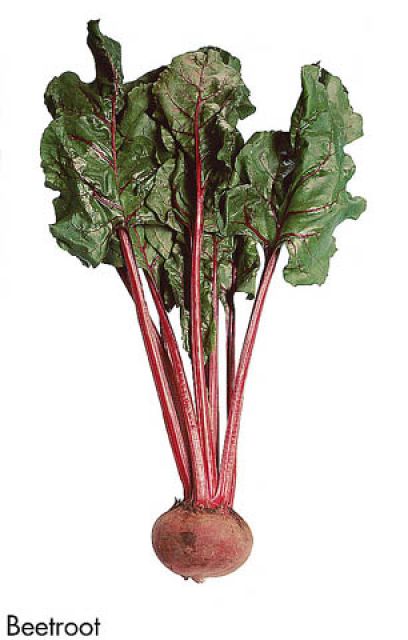 F&V184.jpg