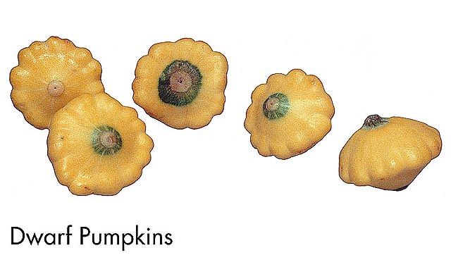 F&V186.jpg