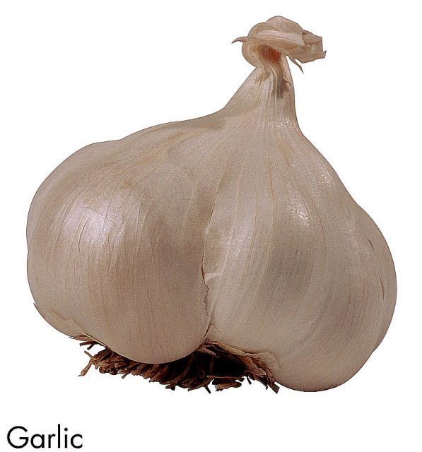 F&V187.jpg