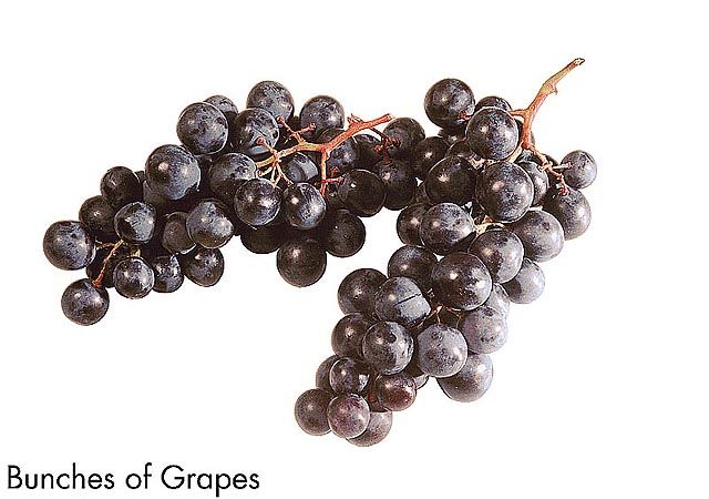 F&V188.jpg