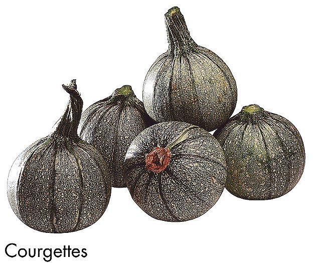 F&V191.jpg