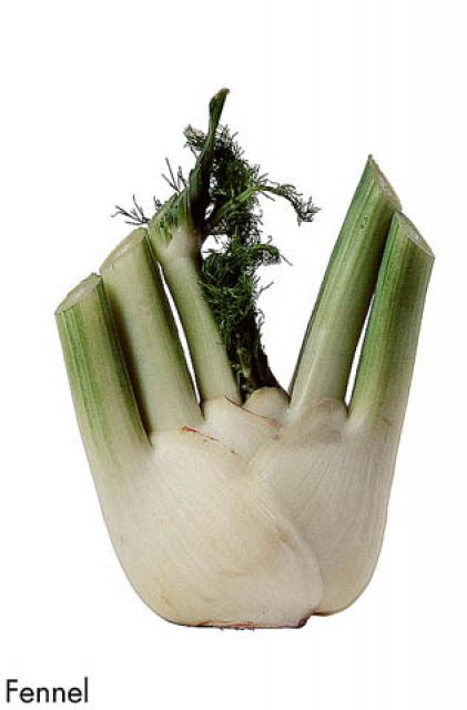 F&V194.jpg