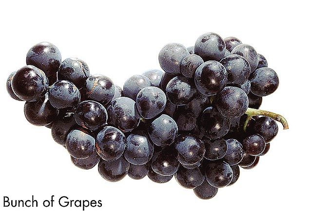 F&V199.jpg