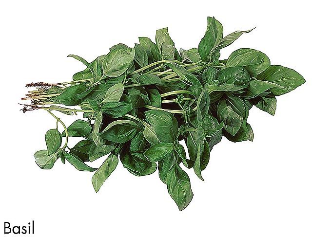 F&V200.jpg