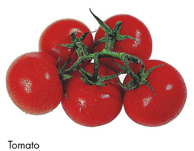 F&V203.jpg