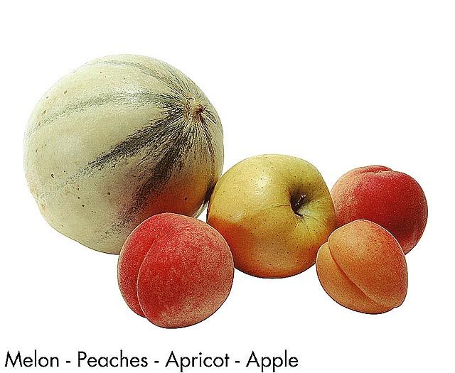 F&V206.jpg