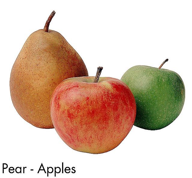F&V208.jpg