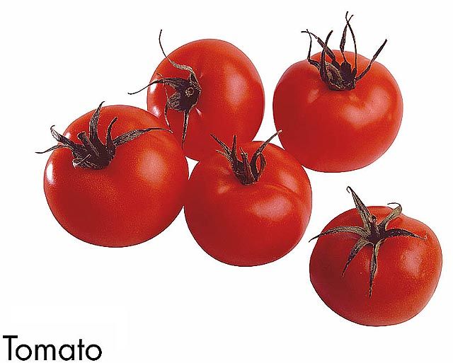 F&V211.jpg