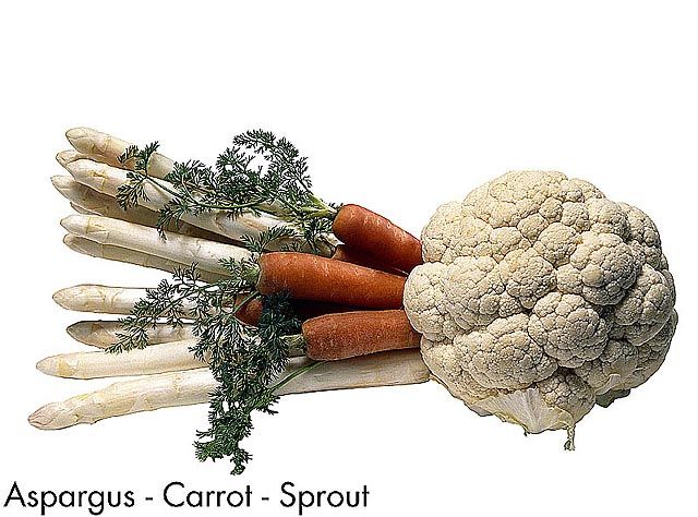 F&V212.jpg