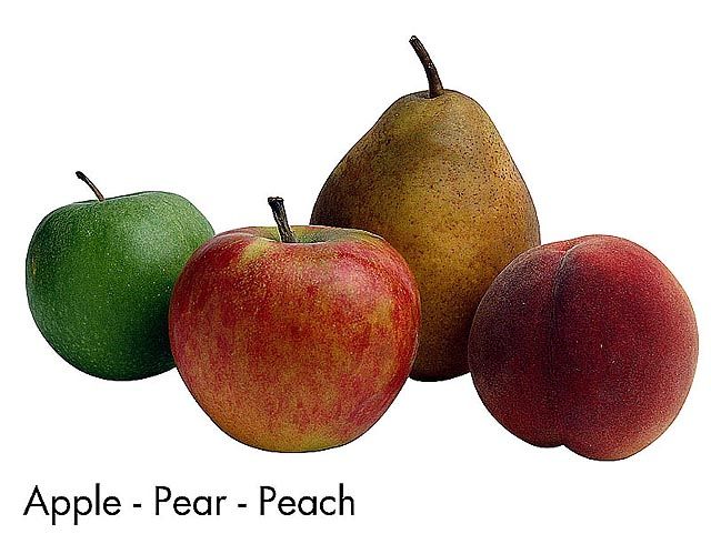 F&V213.jpg