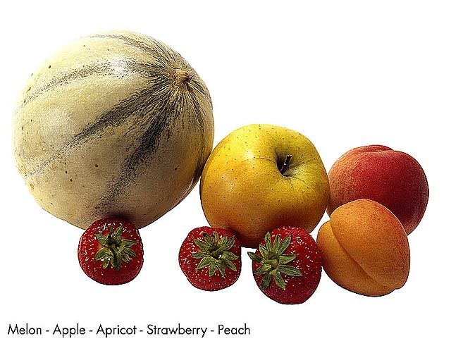 F&V216.jpg