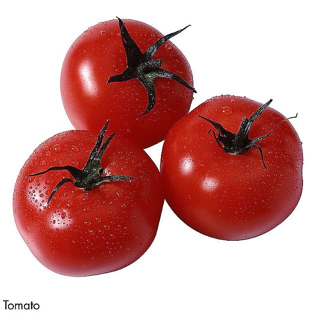 F&V217.jpg