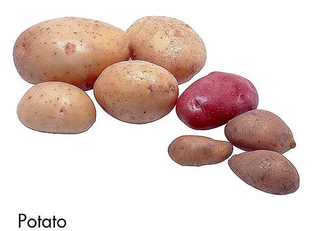 F&V219.jpg