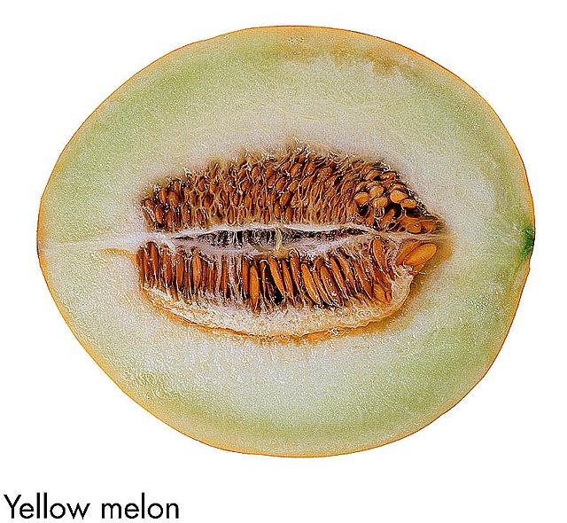 F&V223.jpg
