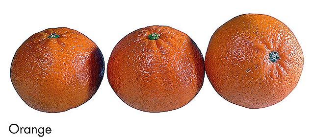 F&V230.jpg