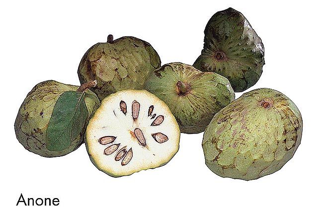 F&V239.jpg