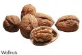 F&V176.jpg