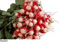 F&V179.jpg