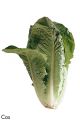 F&V180.jpg
