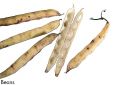 F&V183.jpg