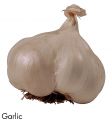 F&V187.jpg