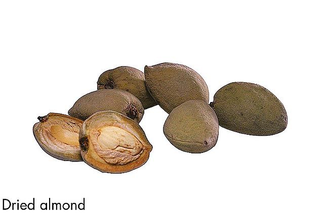 F&V256.jpg