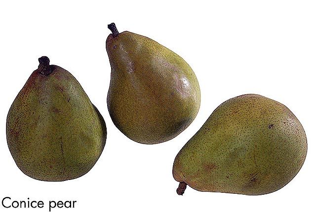 F&V262.jpg