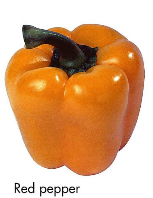 F&V268.jpg