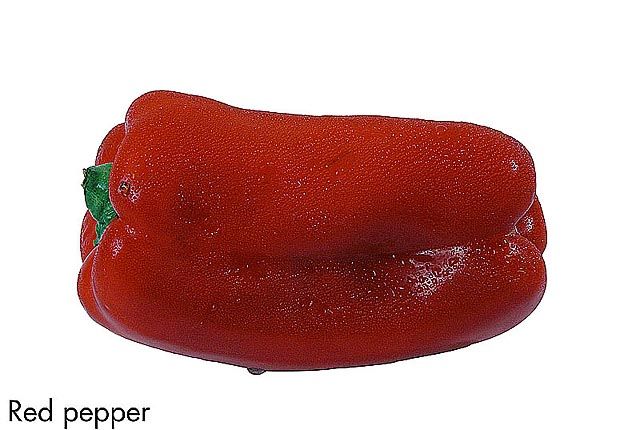 F&V273.jpg