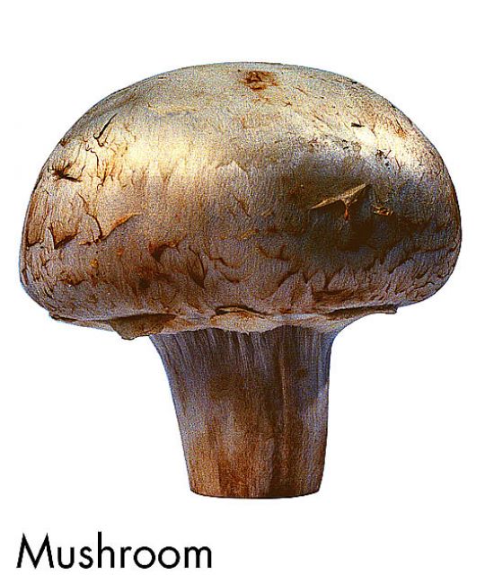 F&V274.jpg