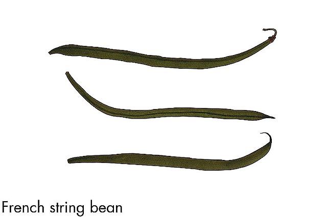 F&V275.jpg