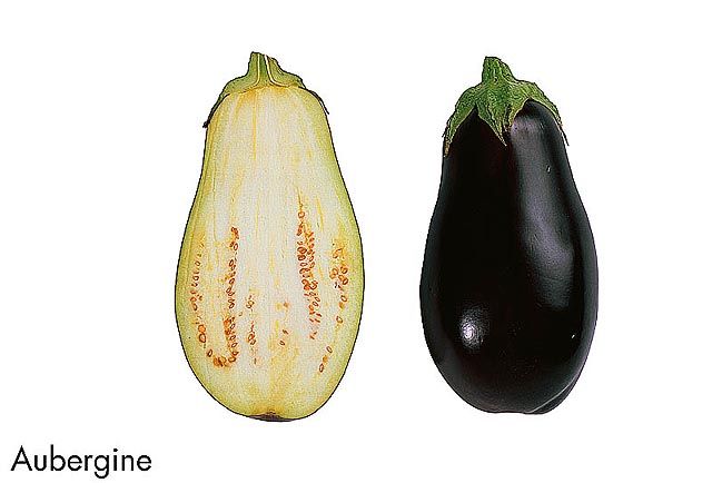 F&V277.jpg