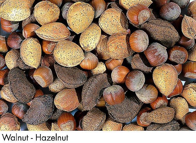 F&V286.jpg