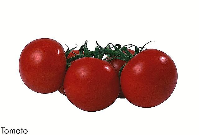 F&V291.jpg
