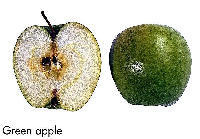 F&V293.jpg